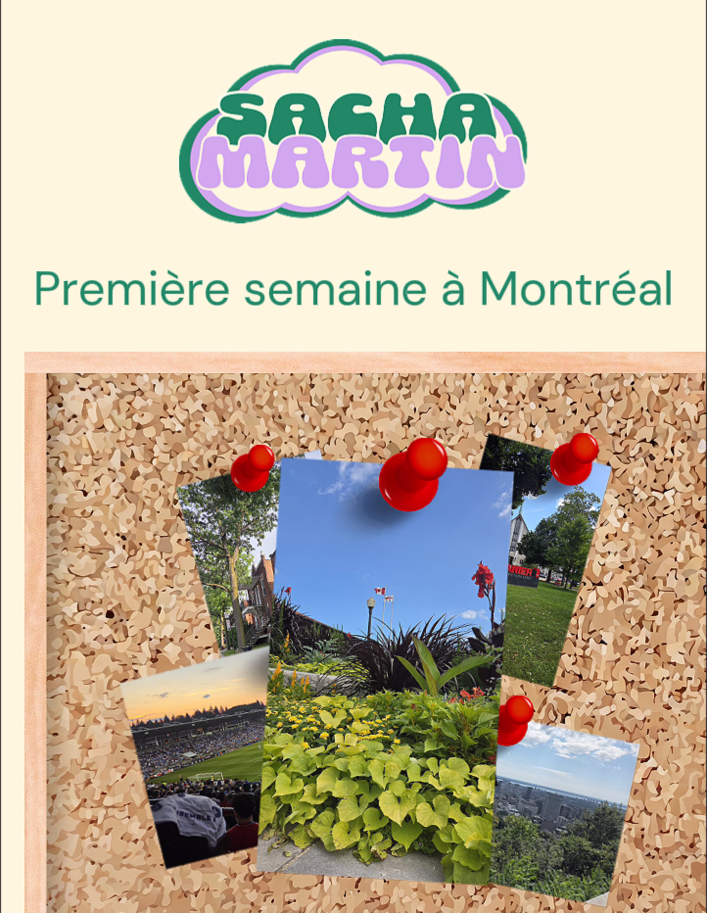 Série Tiktok à Montréal — visuel